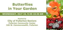 07-24-24-Butterflies-Fullerton for UCCE MG OC News Blog