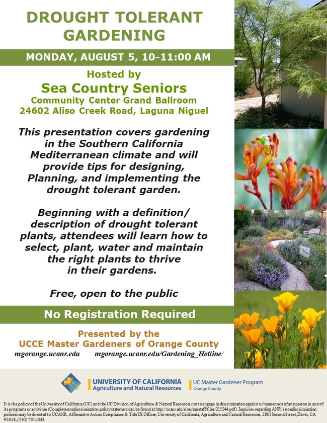 Ready to Go Green? Join Our Drought Tolerant Gardening Workshop!