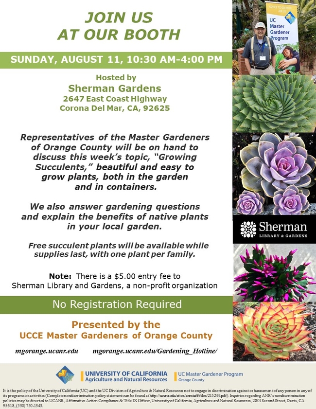 Got Gardening Questions? Meet Us at Our Booth – Succulents & More