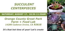 08-17-24-SucculentCenterpiece-FFL for UCCE MG OC News Blog