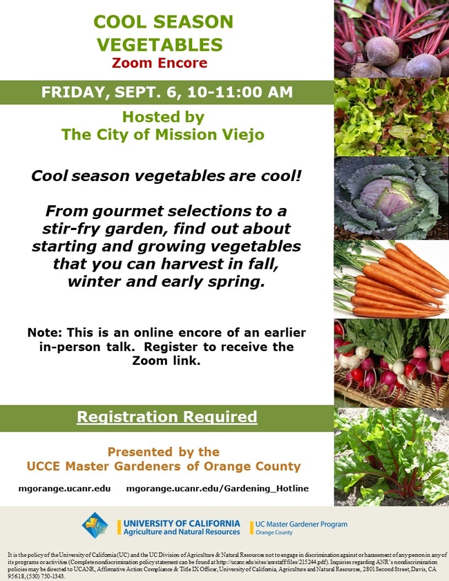 Ready to Harvest Year-Round? Sign Up for Our Cool-Season Veggie Webinar