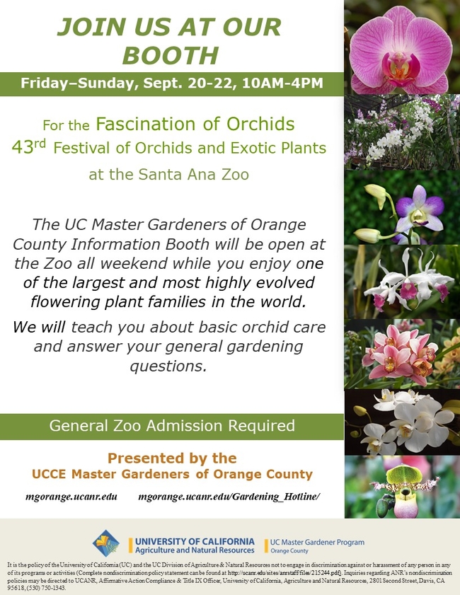 Discover Orchid Secrets! Visit Our Booth at the Fascination of Orchids Festival