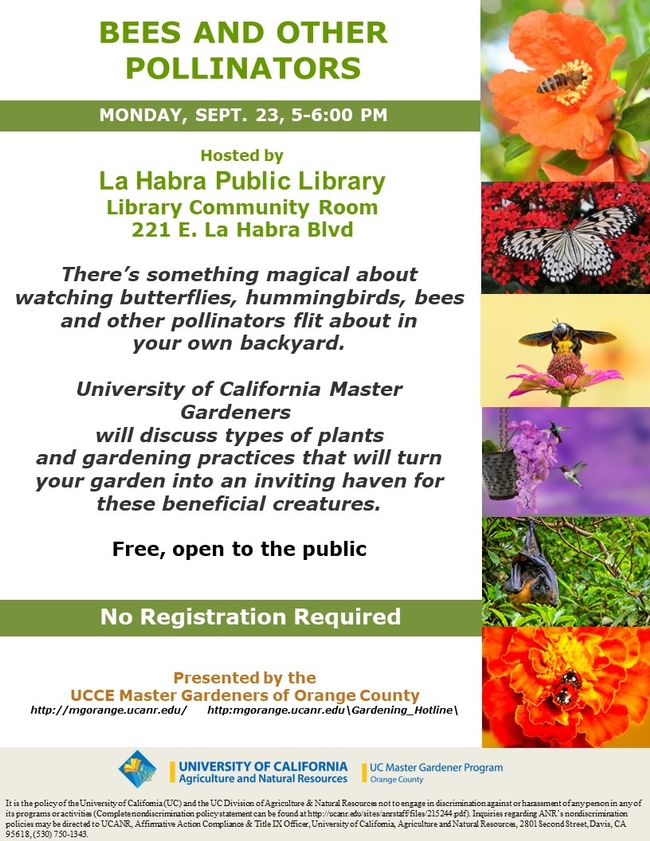 Attract Bees & Butterflies to Your Garden – Learn How from UC Master Gardeners