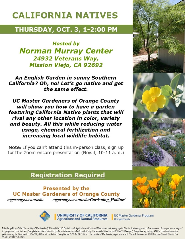 Embrace California Natives: Transform Your Garden—Join Us!