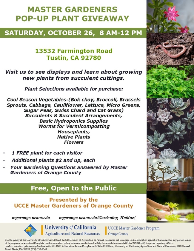 Grab Succulents, Veggies & More. Pop-Up Plant Giveaway Awaits!