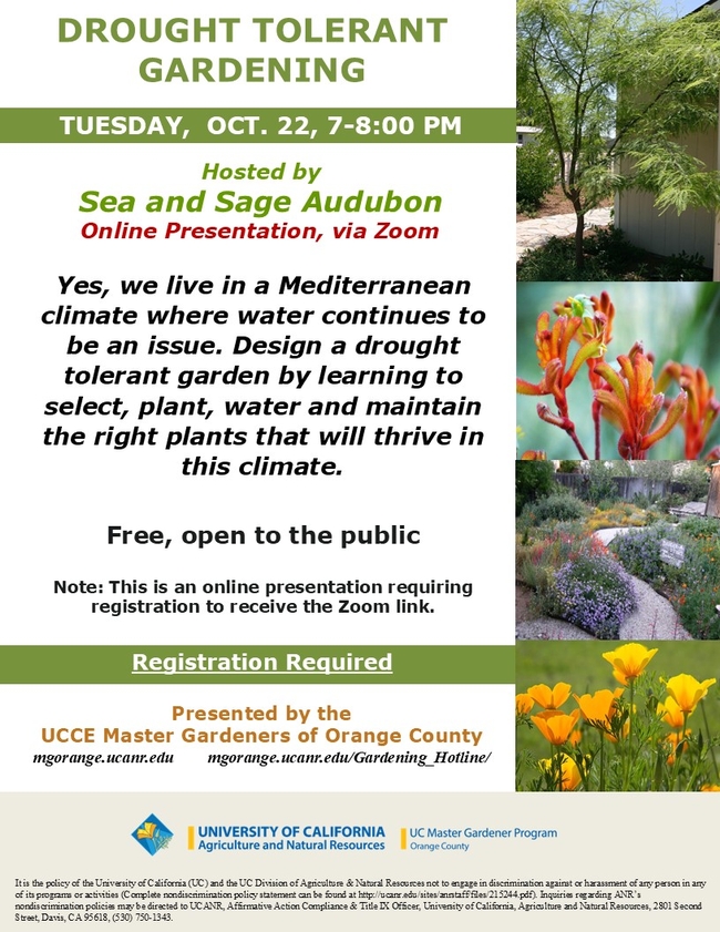 Design the Perfect Drought-Tolerant Garden—Join Us on Zoom!