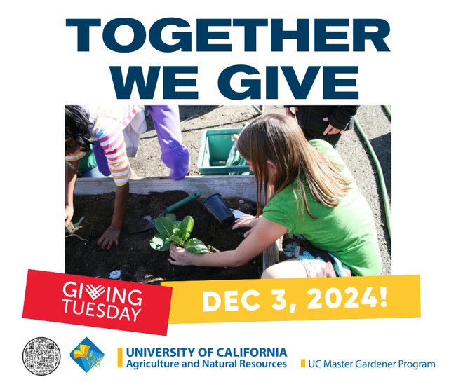 Giving Tuesday is tomorrow, will you join us?