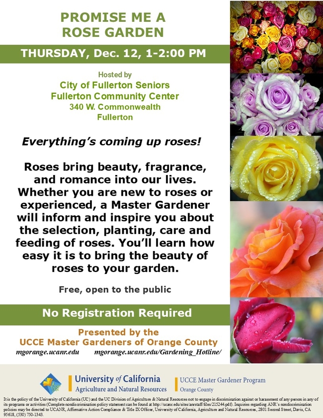 Grow Beauty, Fragrance & Romance—Master the Art of Roses!