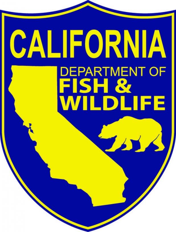 CA fishandwildlife