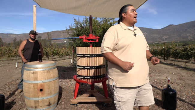 Edward Calac, miembro de la tribu Luiseños, en Pauma Valley, donde se producen 4 tipos de variedades de uva.