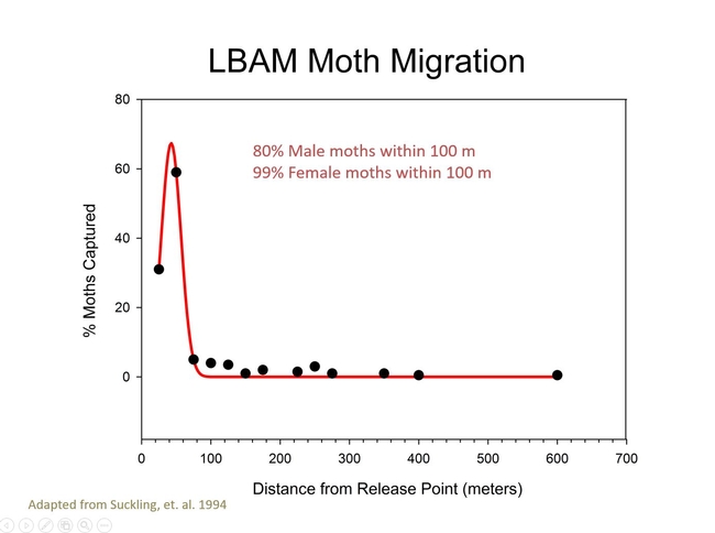 Migration Distance LBAM