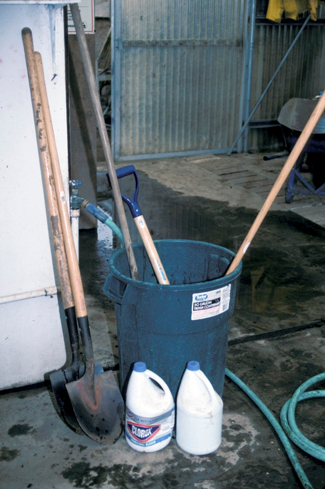 Tools must be free of clinging soil and debris before they are disinfected with chlorine bleach.