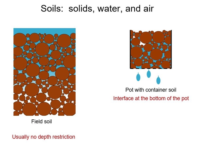 Figure 2 illustrates soils composed of solids (brown), water (blue) and air (white). Field soil, left. Container soil right.