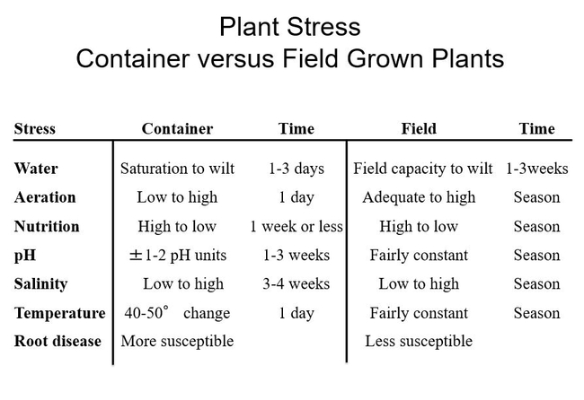 A container limits soil volume and creates all sorts of plant stresses.
