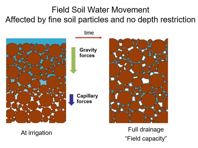 Figure 3. Field Soil Water Movement.