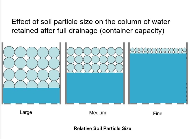 Fig 5. Effect of soil particle size on the column of water retained after full drainage (container capacity)