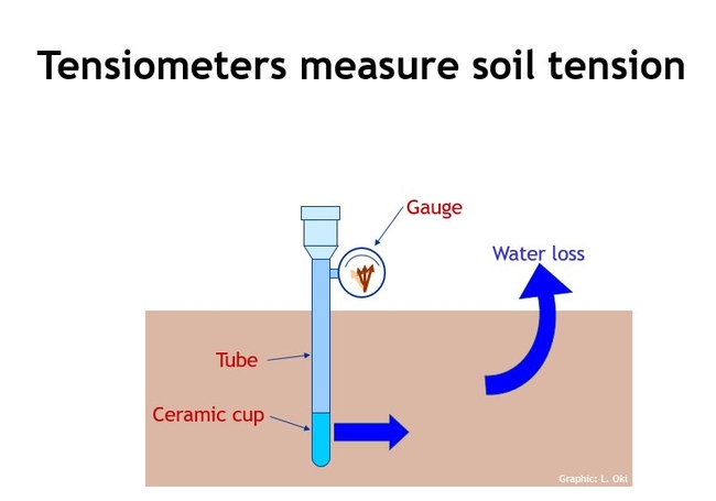 Fig 2 Soil tensiometer