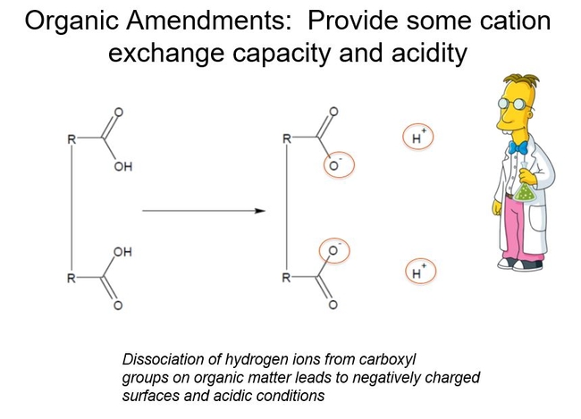 Figure 1. Organic amendments in water produce negatively charged surfaces and acidic conditions.