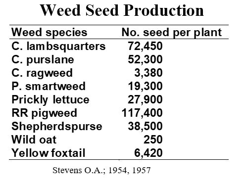 Seeds Have a tremendous capacity to produce seed.