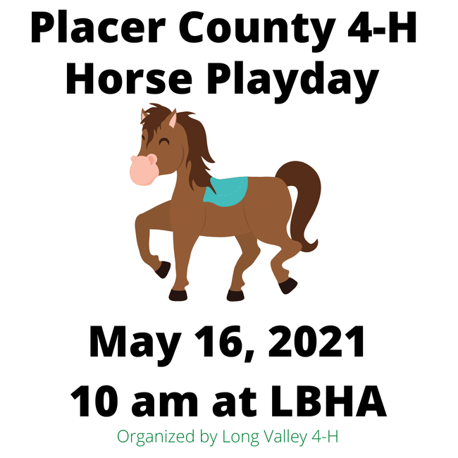 Placer County 4-H horse playday