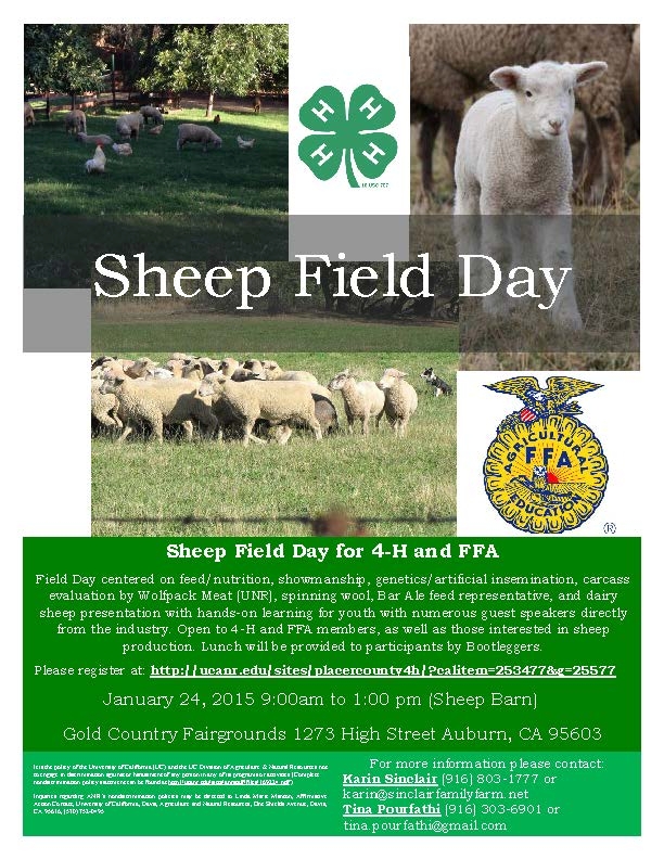 Sheep Field Day Flyer