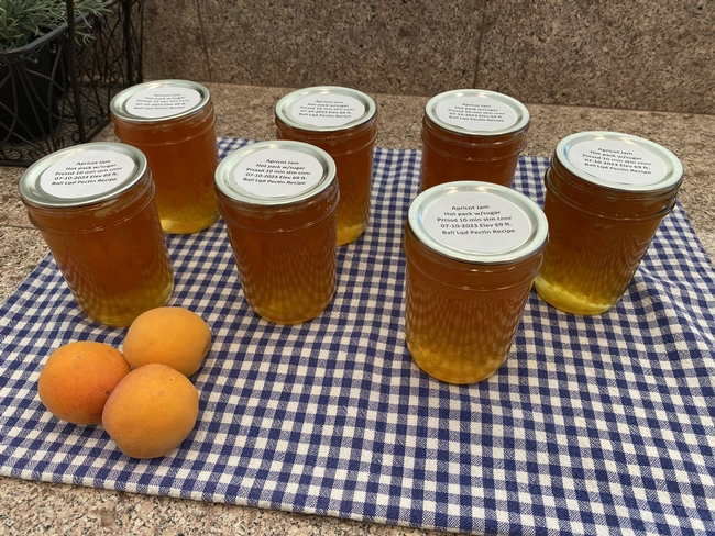 Martha apricot jam 2