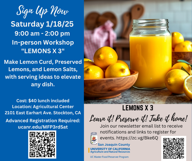 Poster announcement of Lemon Workshop