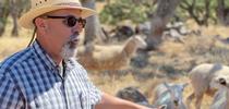 Dan Macon discussing sheep management during the 2022 Cattle and Sheep Grazing School in Auburn, CA for Ranching in the Sierra Foothills Blog