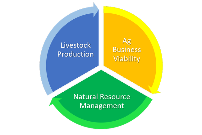Figure 1: The interrelated needs of livestock production, agricultural business viability, and natural resource management.