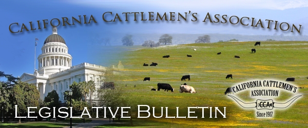 CCA Legis Bulletin