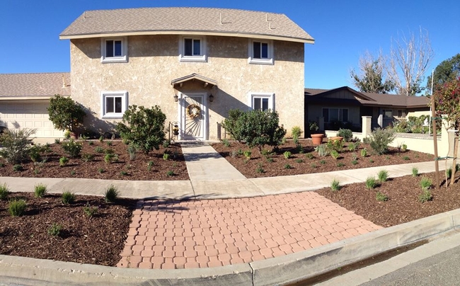 Pano view of newly planted front yard, Sept 2014 - Sally