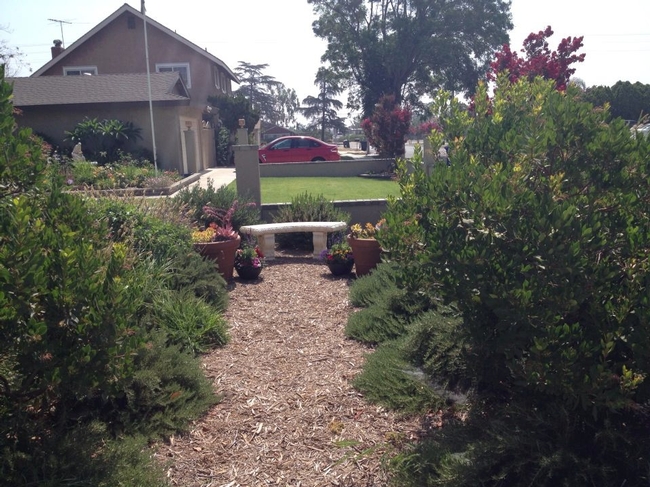 Sitting area front yard, July 2014 - Sally