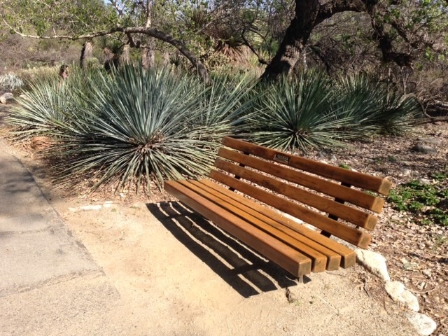 Winter in the Garden: A Visit to Rancho Santa Ana Botanic Garden - Riverside  County Master Gardeners - ANR Blogs