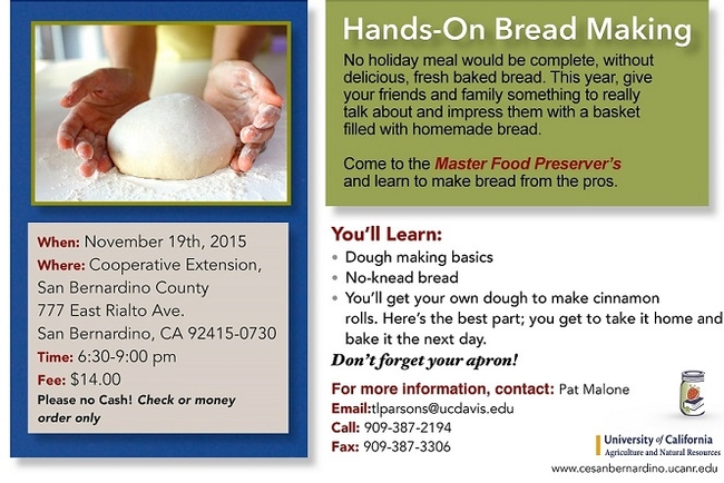 Hands on Bread