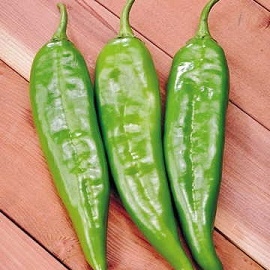 Sahuaro Hybrid Chiles  http://parkseed.com/sahuaro-hybrid-pepper-seeds/p/05241-PK-P1/
