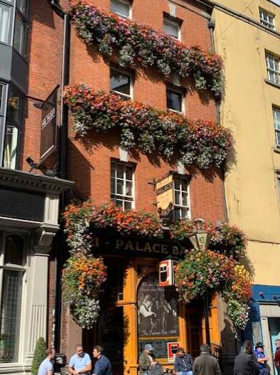 Dublin flower boxes, photo by Janet Hartin