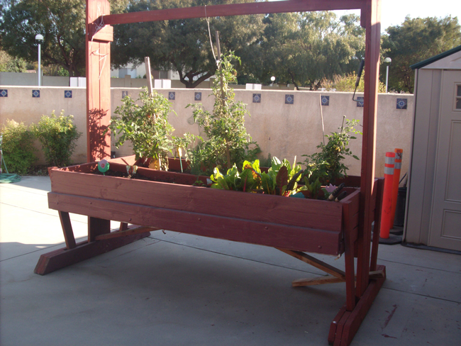 Raised bed planter at Loma Linda University Medical Center designed with the help of Master Gardener, Bob Yocum.