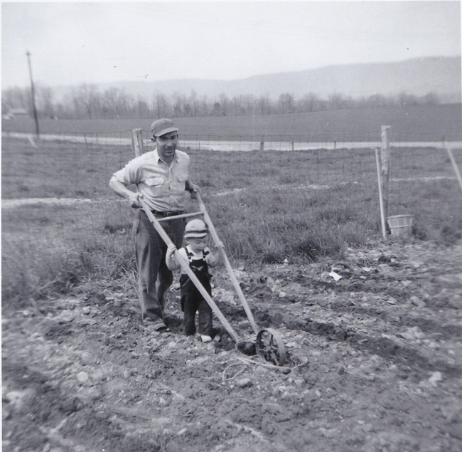 Future Master Gardener - 2 year old Bob and his dad work the family garden in Pennsylvania