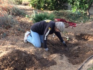 San Bernardino County Master Gardener Loleta Cruse in her drought tolerant garden