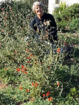 San Bernardino County Master Gardener Loleta Cruse Spotlight Story
