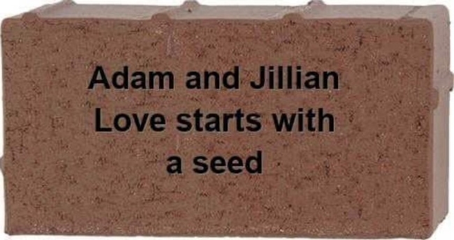 Love Starts with a Seed Blog