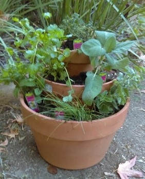 Mini Three-tiered Herb Gardens grow great too1