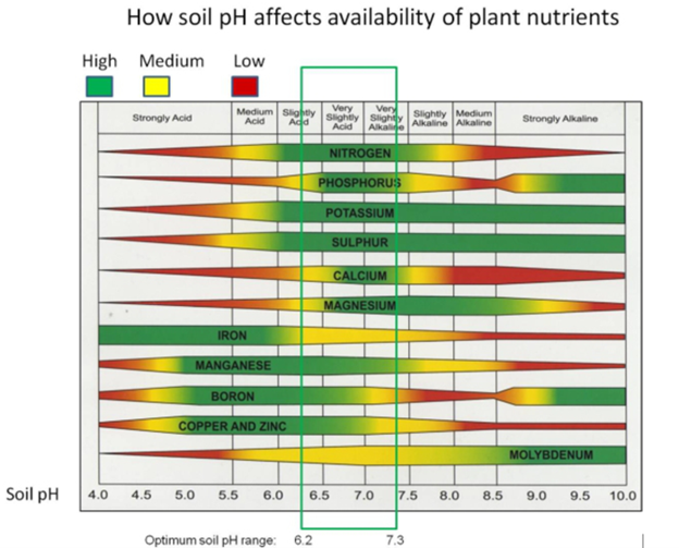 Soil pH and availability of plant nutrients. Image: UC ANR.