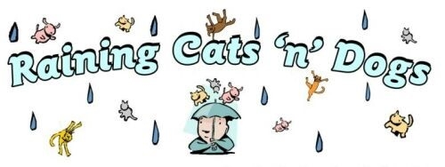 its raining cats and dogs