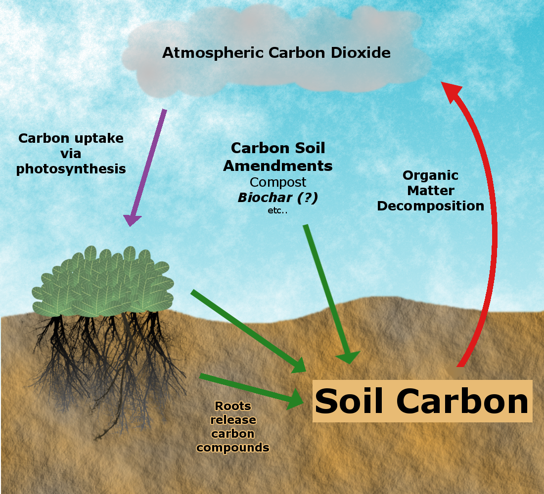 Biochar And Carbon Sequestration Solution Center For