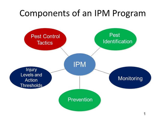 IPM Comonents
