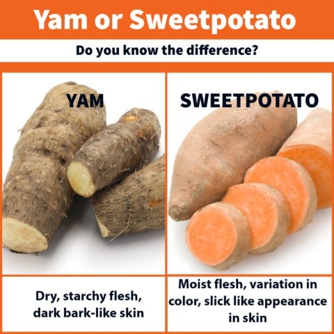 yam and sweet potato - https://ncsweetpotatoes.com/sweet-potatoes-101/difference-between-yam-and-sweet-potato/