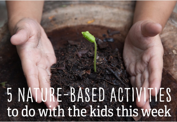 Link to garden activities for kids (and adults).