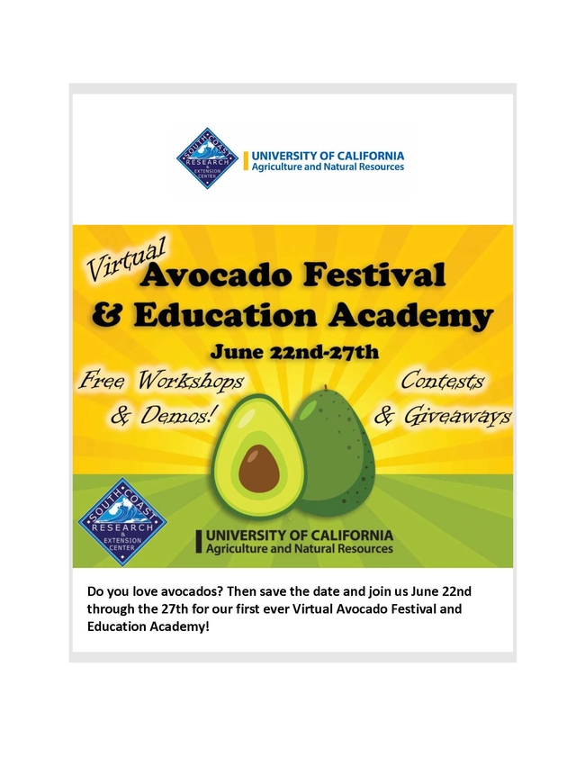 Avocado Festival 2020
