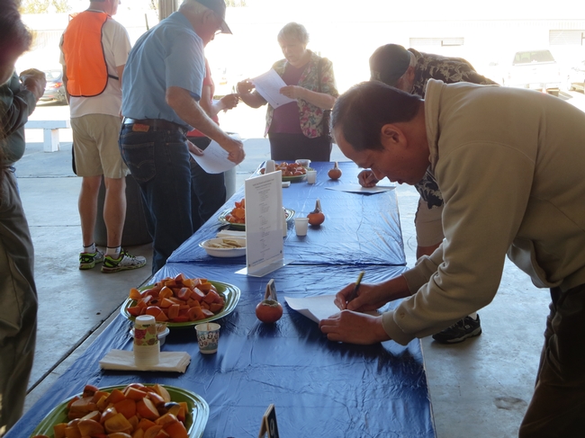 Attendees evaluating persimmons.